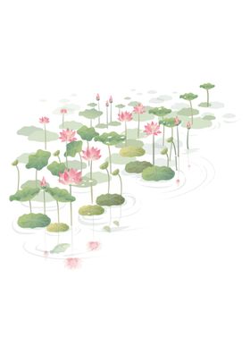 荷花