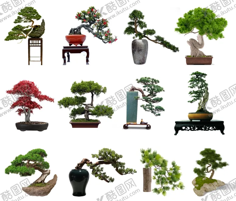 编号：61393801250535013084【酷图网】源文件下载-盆景摆件