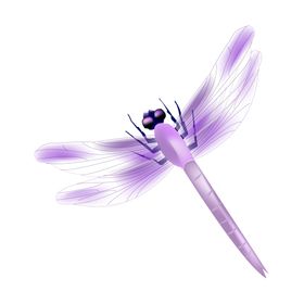 蜻蜓