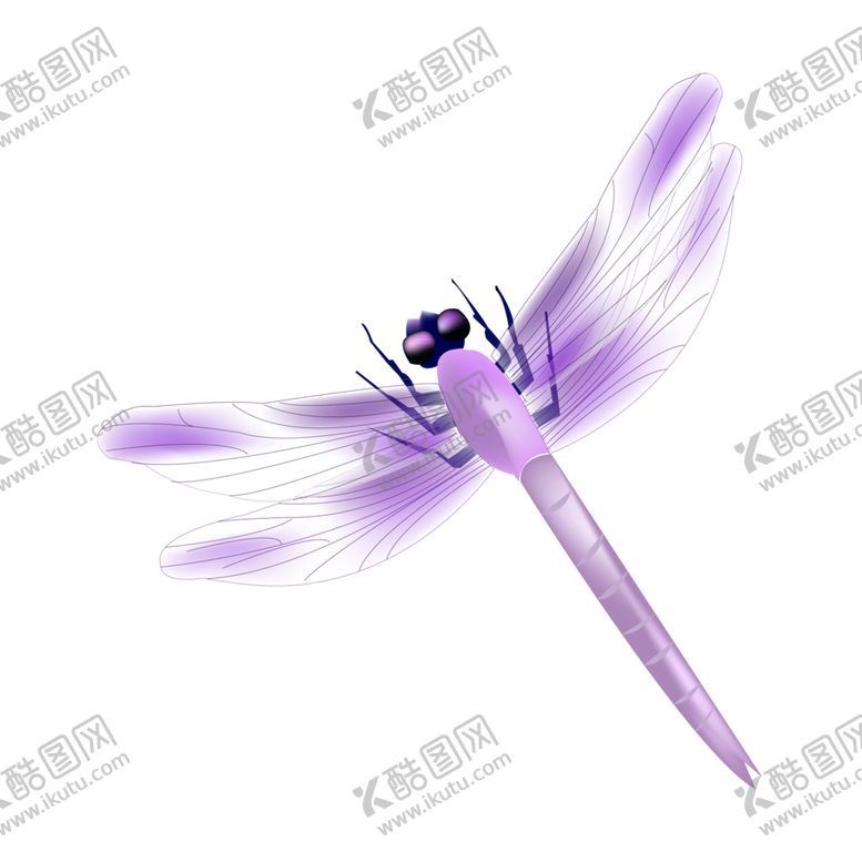 编号：17714405191045573225【酷图网】源文件下载-蜻蜓