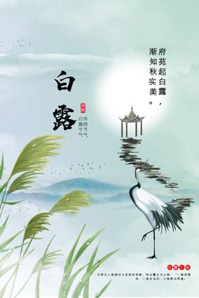 白露传统节气海报