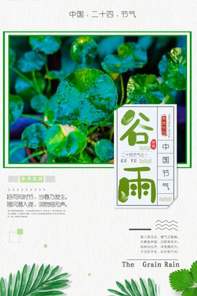 谷雨水海报节气海报水微信海报