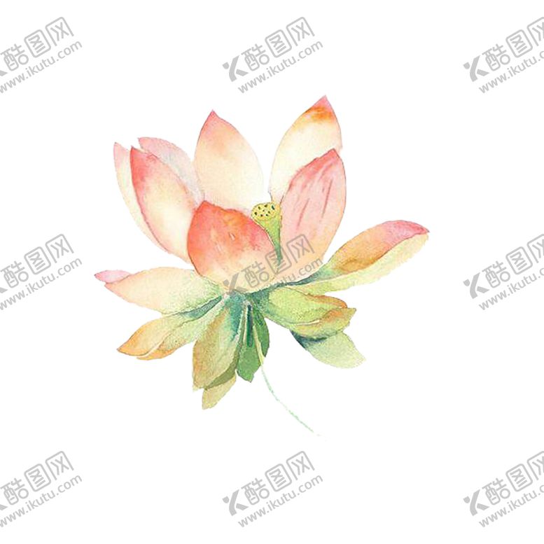 编号：99139809290633561559【酷图网】源文件下载-手绘植物花卉