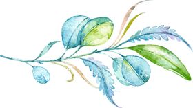 水彩植物风手绘清新插图