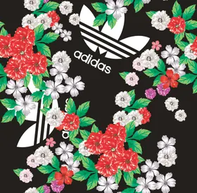 阿迪达斯Adidas大牌