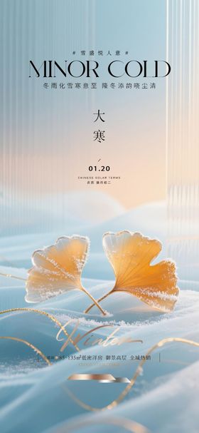 大寒质感节气海报