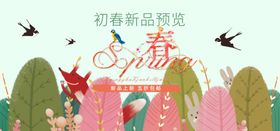 早春上市