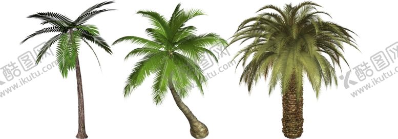 编号：30869809240117465401【酷图网】源文件下载-棕榈png免扣高清素材