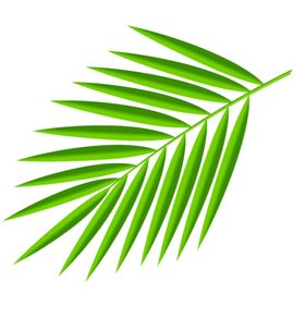 绿色装饰元素