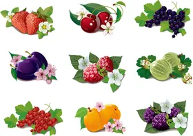 水果蔬菜组合