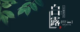 白露海报二十四节气唯美立秋