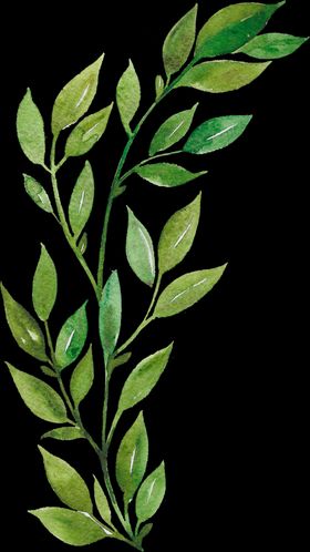手绘叶子树植物绿卡通花朵小花花环