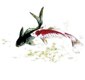 水墨墨迹鲤鱼