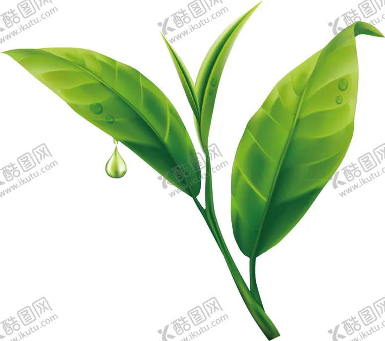 编号：52056309271511549598【酷图网】源文件下载-绿色装饰