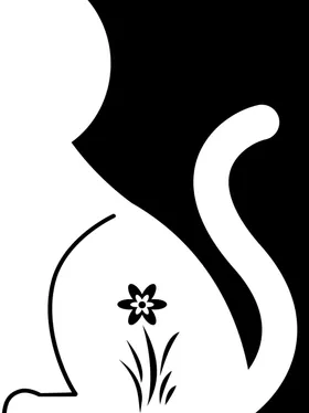 背景素材创新动感彩色