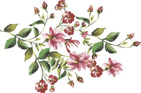 手绘花朵