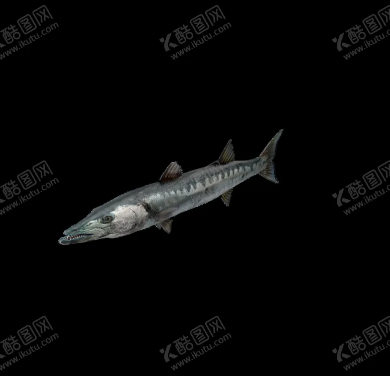 编号：74305607061904559546【酷图网】源文件下载-海洋生物