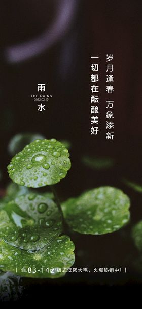 地产雨水节气海报地产雨水节气海