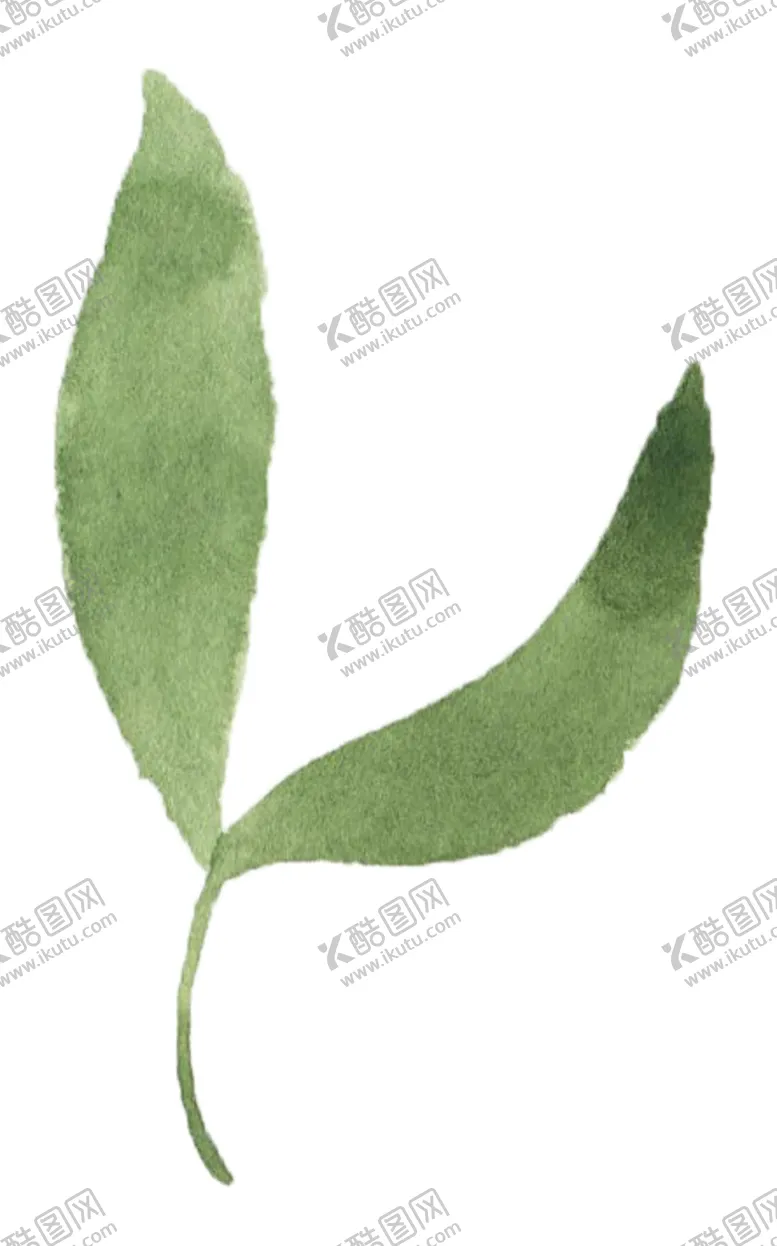 编号：74866706290835114390【酷图网】源文件下载-手绘植物花卉