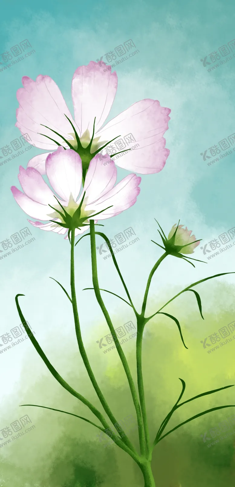 编号：66967906280150234517【酷图网】源文件下载-格桑花插画