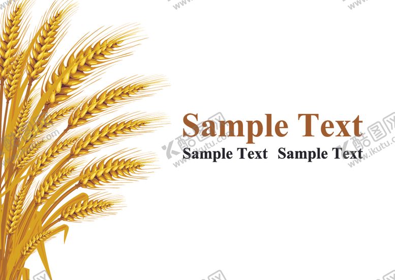 编号：97581009210533414947【酷图网】源文件下载-麦穗