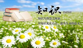 蓝天白云草地绿色家园知识