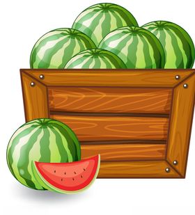 夏日西瓜矢量图