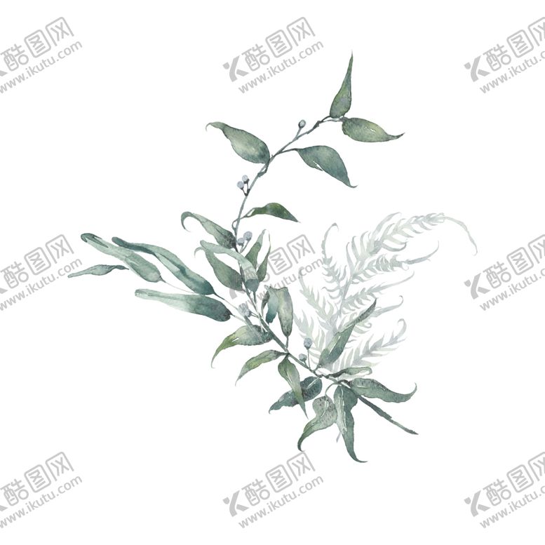 编号：91202306250853209474【酷图网】源文件下载-小清新水彩植物树枝