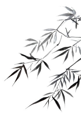 竹子