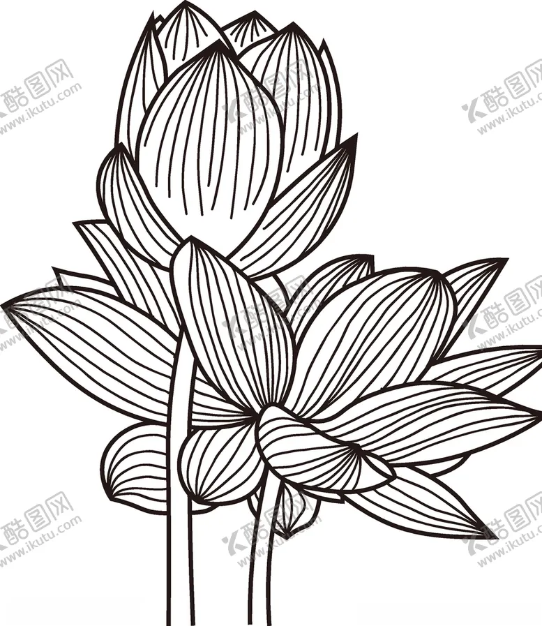 编号：37255403110419362940【酷图网】源文件下载-荷花