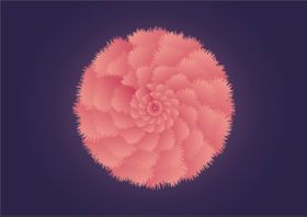 素材花渐变
