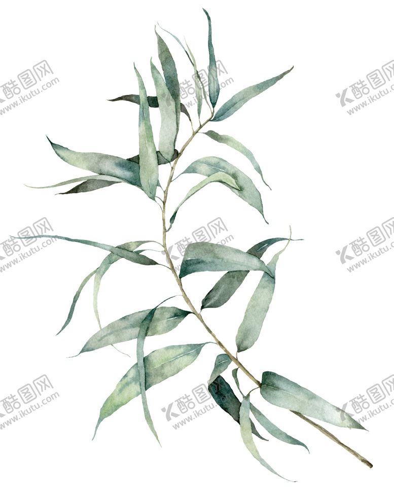 编号：60669110262333435376【酷图网】源文件下载-植物花朵装饰图案