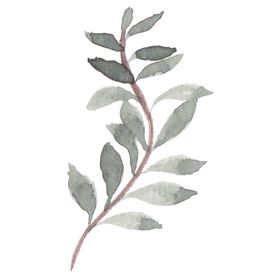 花朵植物画水彩树叶小