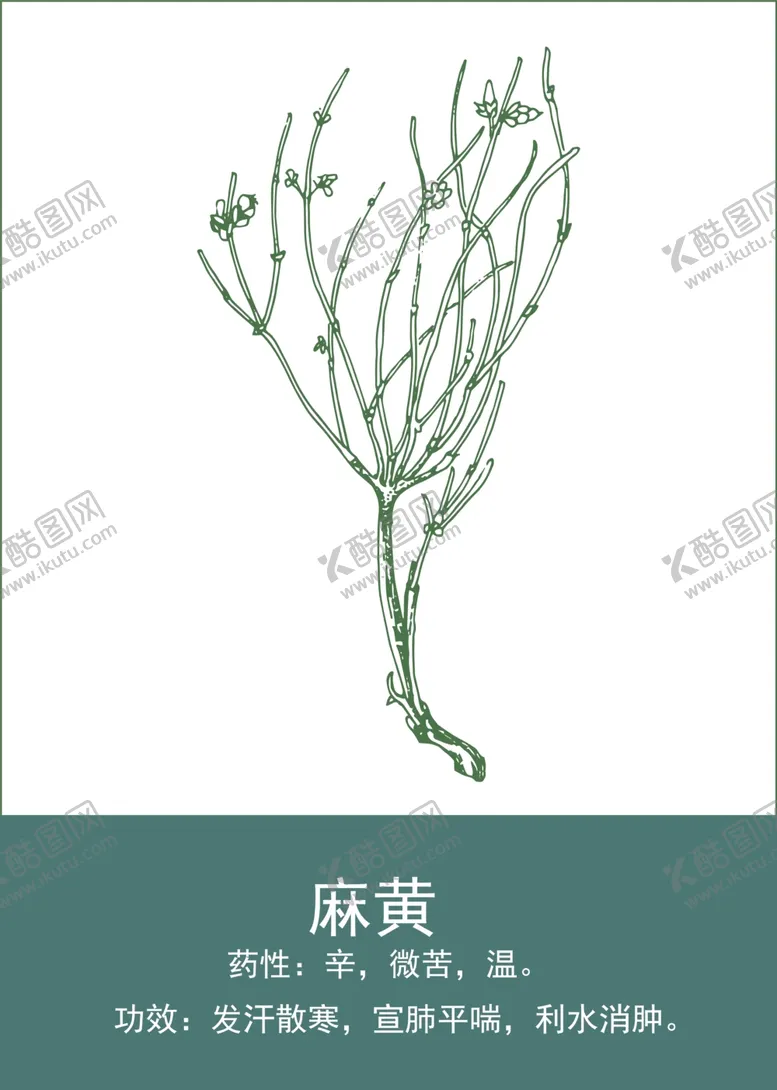 编号：89708101140935082801【酷图网】源文件下载-中药手绘插画