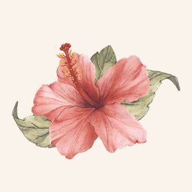 创意扶桑花和蜂鸟无缝背景