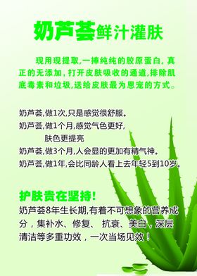 芦荟护肤养生美容