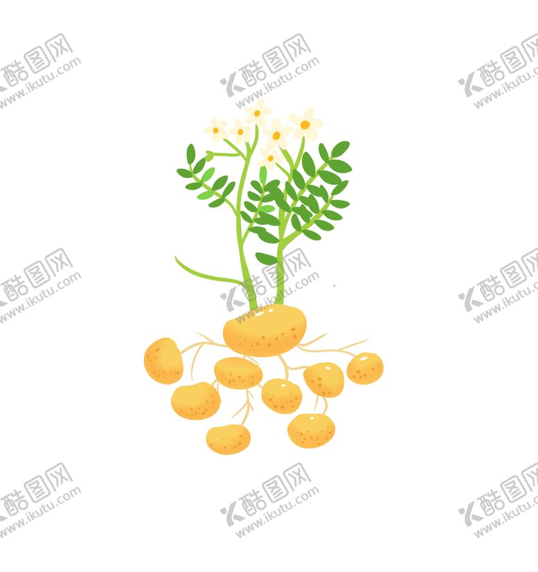 编号：78291510081434132934【酷图网】源文件下载-土豆插画素材