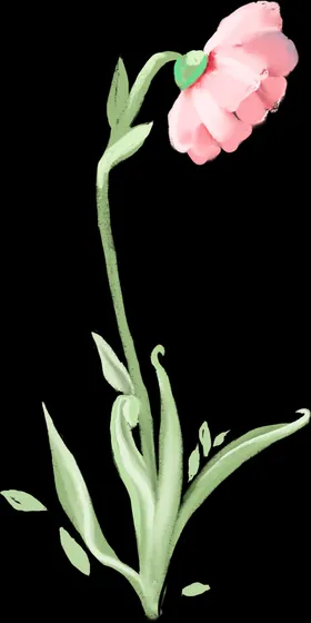 手绘鲜花