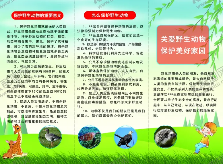 编号：58788311260534101047【酷图网】源文件下载-保护野生动物三折页