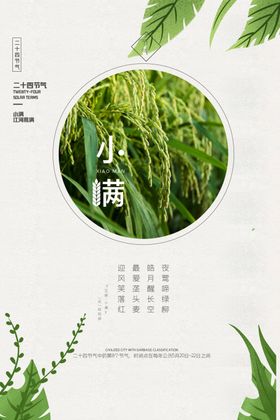 小满