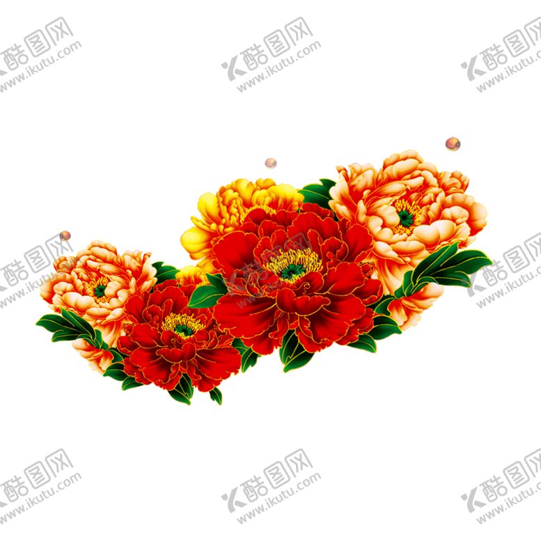 编号：51939310031547039996【酷图网】源文件下载-牡丹花