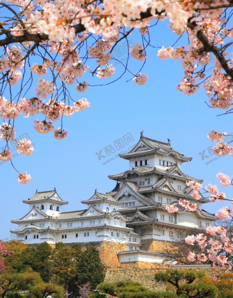 编号：53454505131348412135【酷图网】源文件下载-樱花树日式古典建筑素