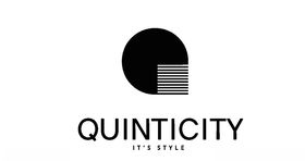 矢量字母logo标志Q元素