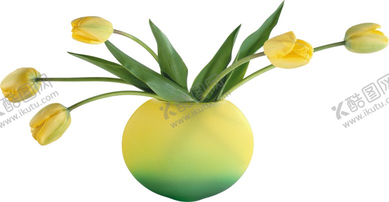 编号：35606009250513441558【酷图网】源文件下载-花瓶