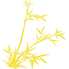 竹子竹叶
