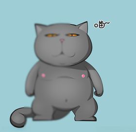 卡通猫