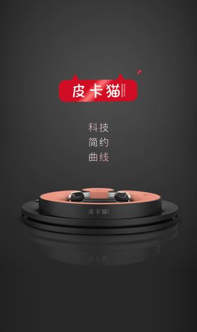 皮卡猫健身海报