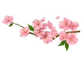 桃花玫瑰瓣卡通朵瓣