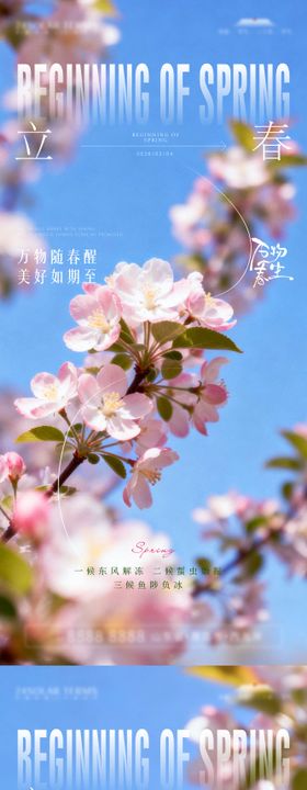 立春节气系列海报