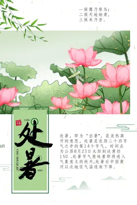 处暑二十四节气荷花背景节气背景